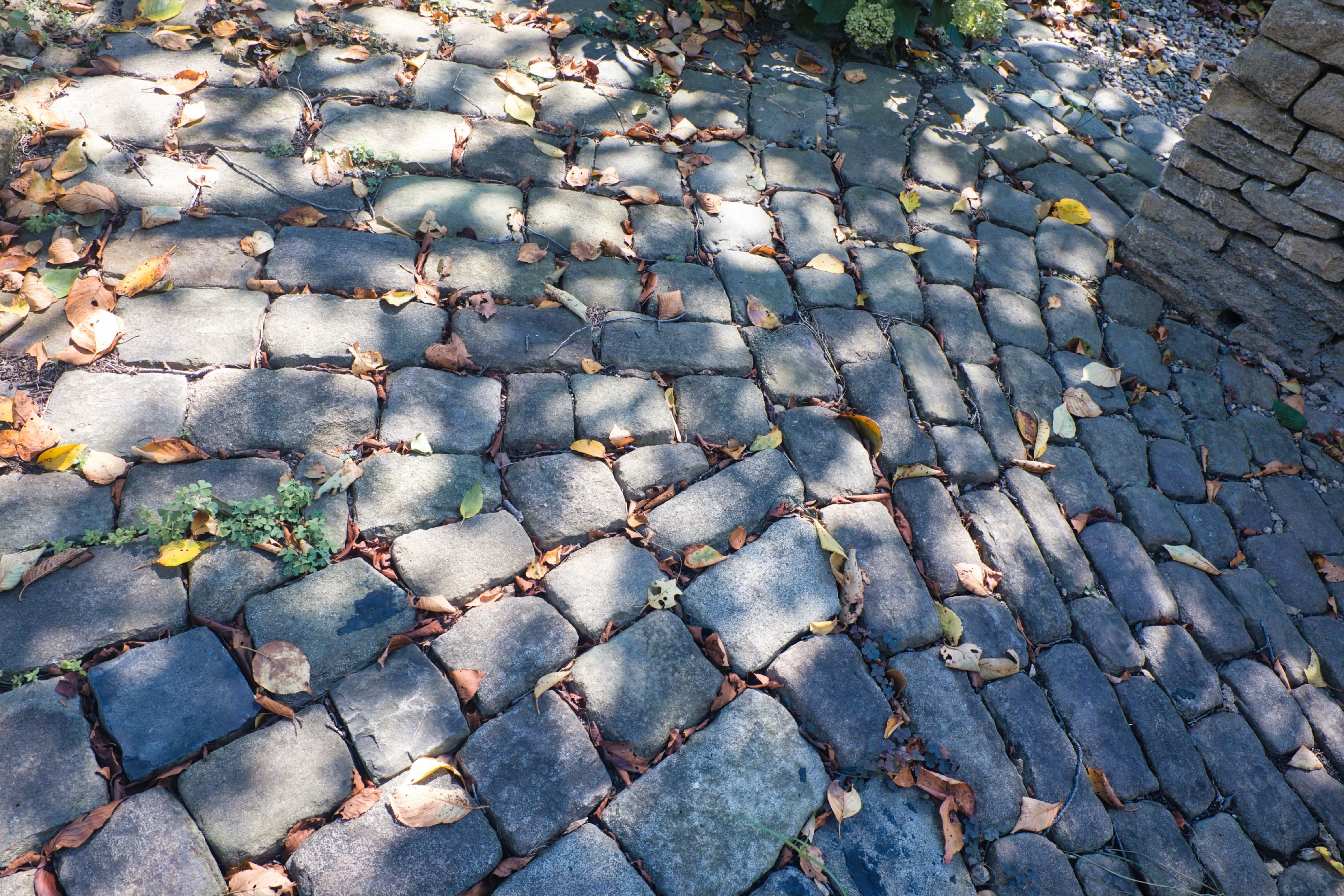 The True Cost Breakdown: Why Premium Indian Stone Offers Better ROI Th