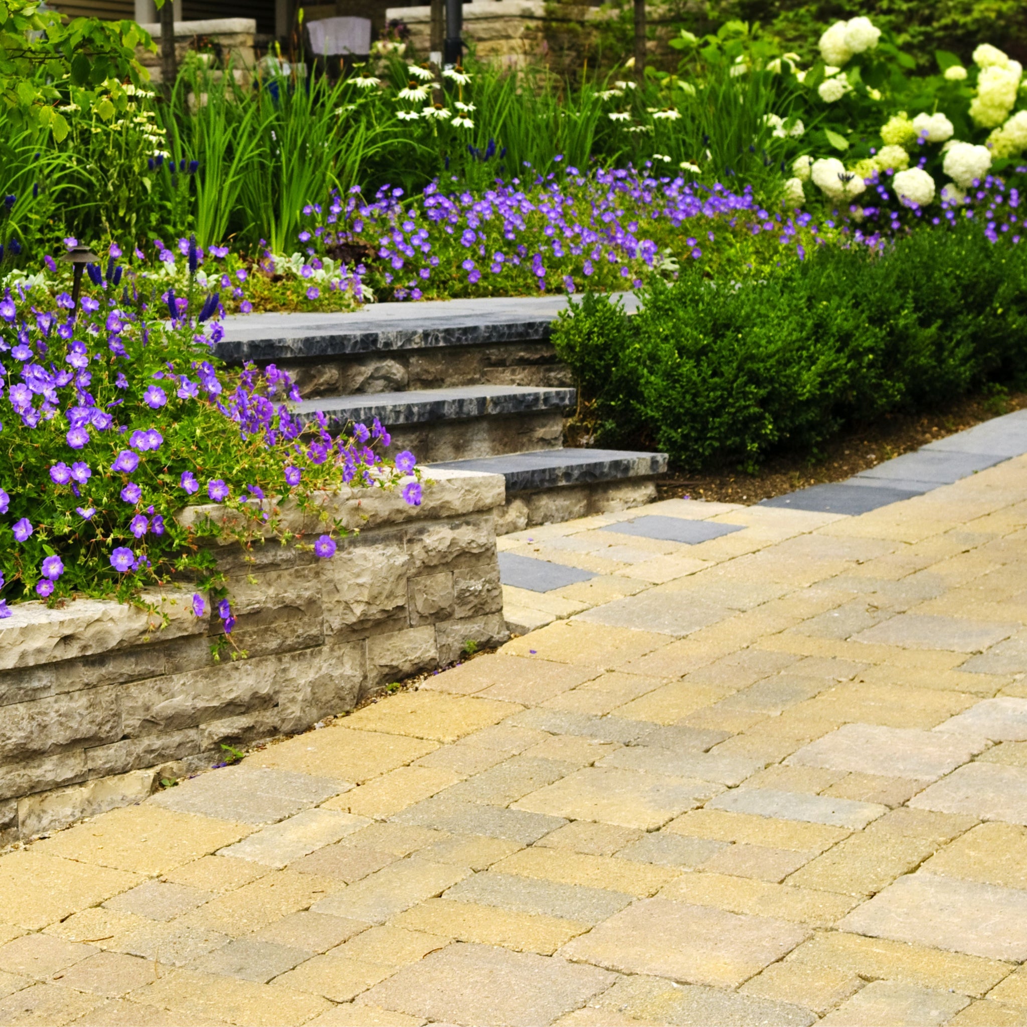 The Renaissance of Luxury: How Natural Stone is Redefining Modern Opulence